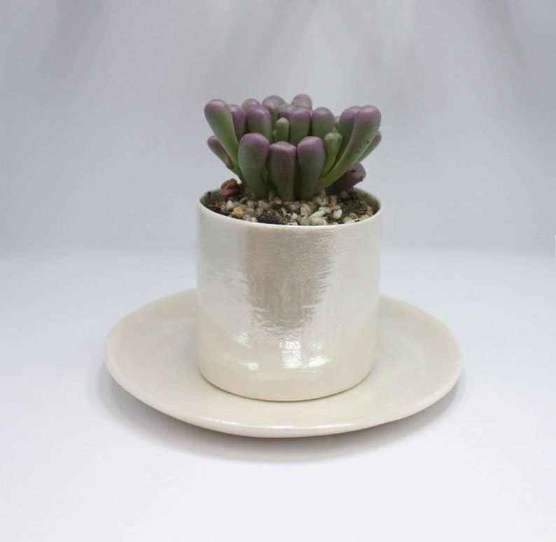 Small Pearl Plant Pot And Plate